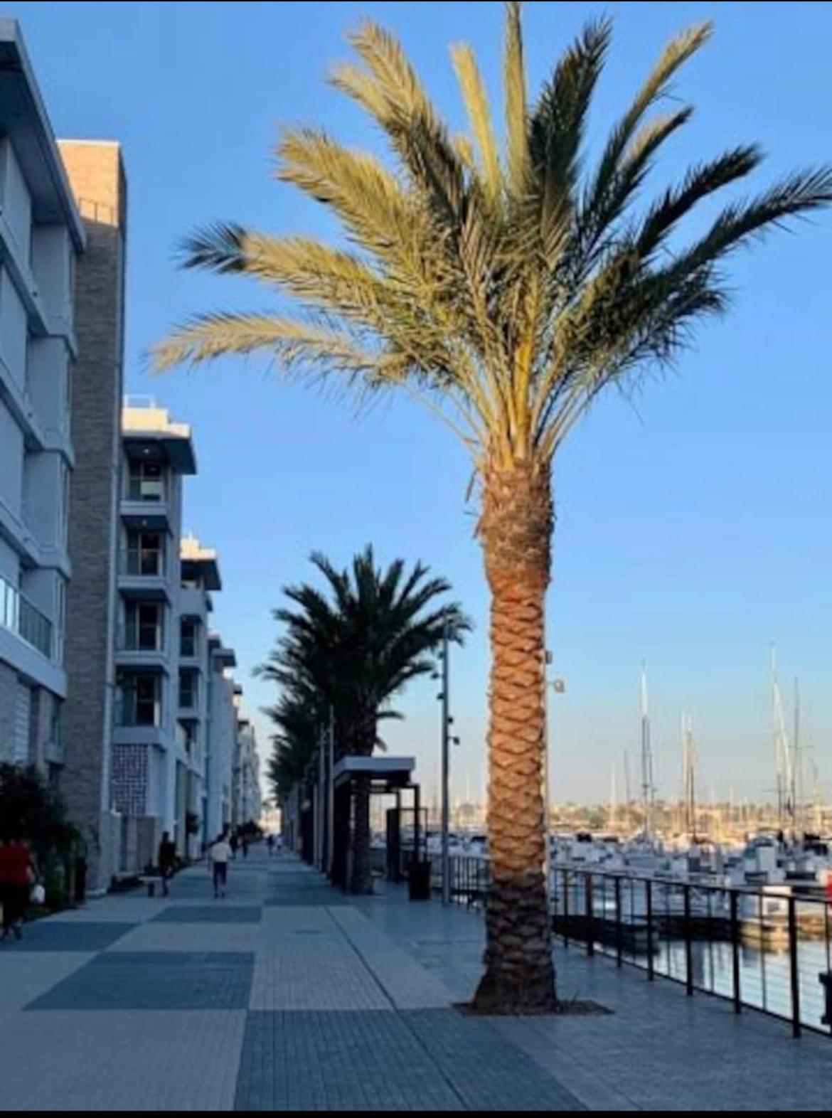 Venice Beach Lux Retreat Coastal Apartment Haven Los Angeles Zewnętrze zdjęcie